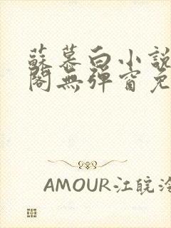 苏慕白小说笔趣阁无弹窗免费阅读