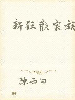 新狂欢家族小说