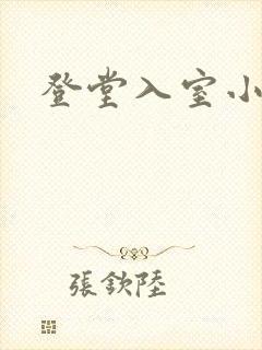 登堂入室小说