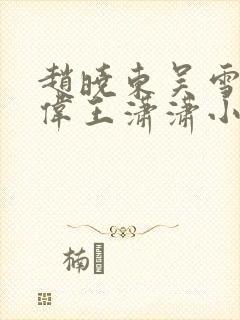 赵晓东吴雪晴郑伟王潇潇小说名字