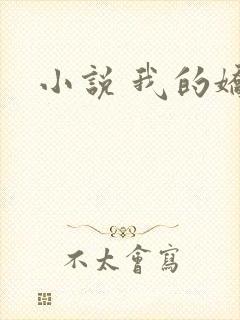小说 我的娇妻
