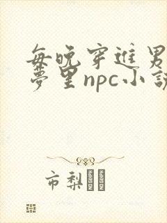 每晚穿进男神的梦里npc小说
