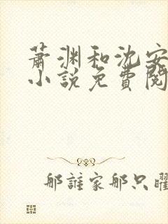 萧渊和沈安安的小说免费阅读