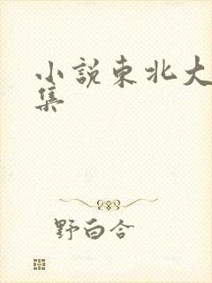 小说东北大炕全集