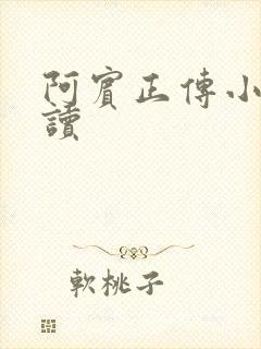 阿宾正传小说在读