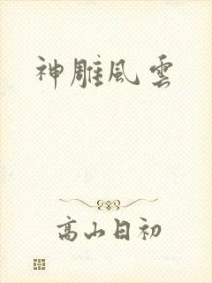神雕风云