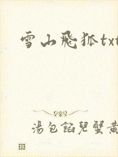 雪山飞狐txt