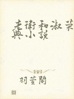 老卫和淑荣的经典小说