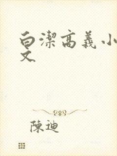 白洁高义小说全文