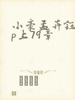 小豪孟卉钰慧三p上79章