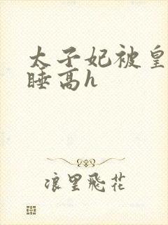 太子妃被皇上强睡高h