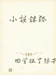 小说银狐
