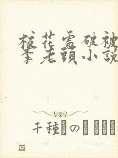 校花处破被灌满李老头小说