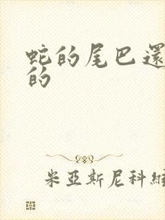 蛇的尾巴还在我的