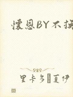 怀恩BY不换