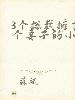 3个总裁拥有一个妻子的小说