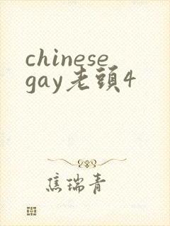 chinesegay老头4