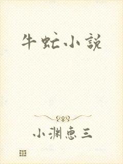 牛虻小说