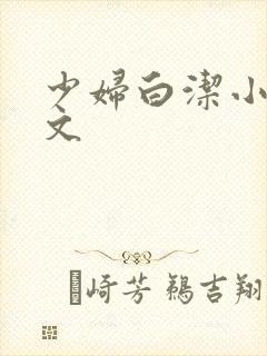 少妇白洁小说全文