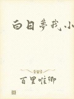 白日梦我小说