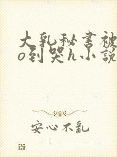 大乳秘书被cao到哭h小说