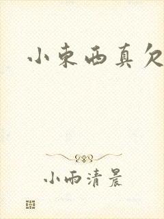 小东西真欠弄