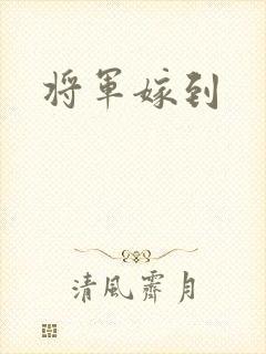 将军嫁到