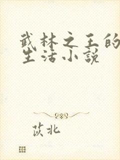 武林之王的退隐生活小说