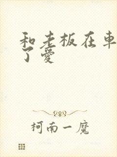 和老板在车里做了爱