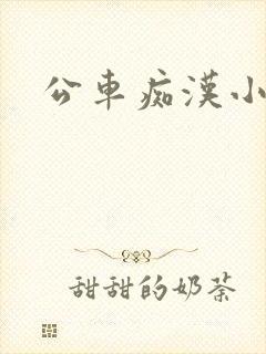 公车痴汉小说
