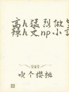 高h猛烈做哭高辣h文np小说