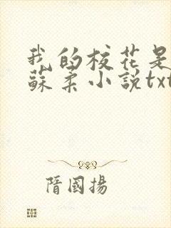 我的校花是福姬苏柔小说txt