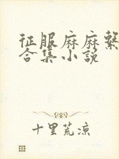 征服麻麻系列大合集小说