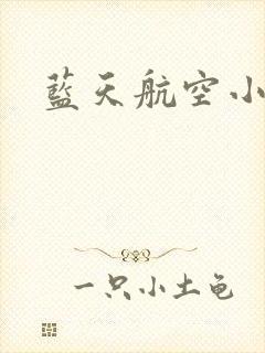 蓝天航空小说