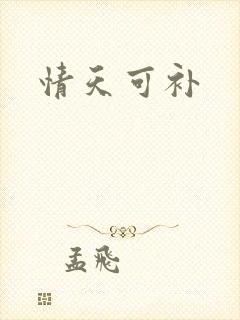 情天可补