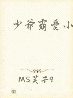 少爷霸爱小丫头