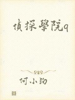 侦探学院q