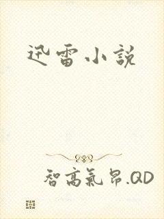 迅雷小说