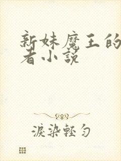 新妹魔王的契约者小说