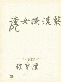 渣女撩汉系统NPC