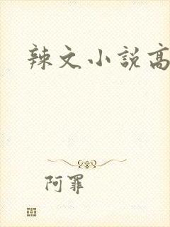 辣文小说高h