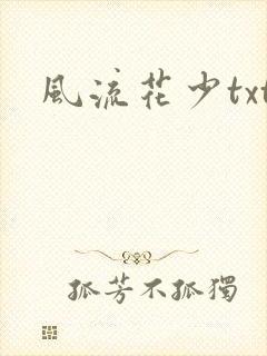 风流花少txt