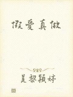 假爱真做