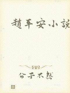 赵平安小说主角