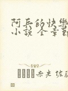 阿兵的快乐生活小说 全章节阅读免费