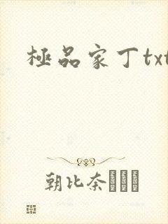 极品家丁txt