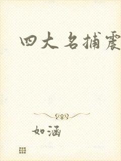 四大名捕震关东