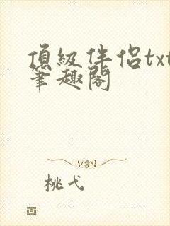 顶级伴侣txt笔趣阁