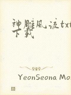 神雕风流txt下载