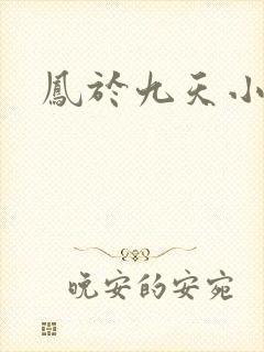凤于九天小说